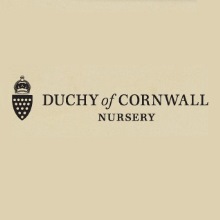 Duchy of Cornwall Nursery Café