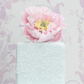 Cake Parlour, The