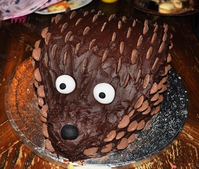 Chocolate Hedgehog Cake!
